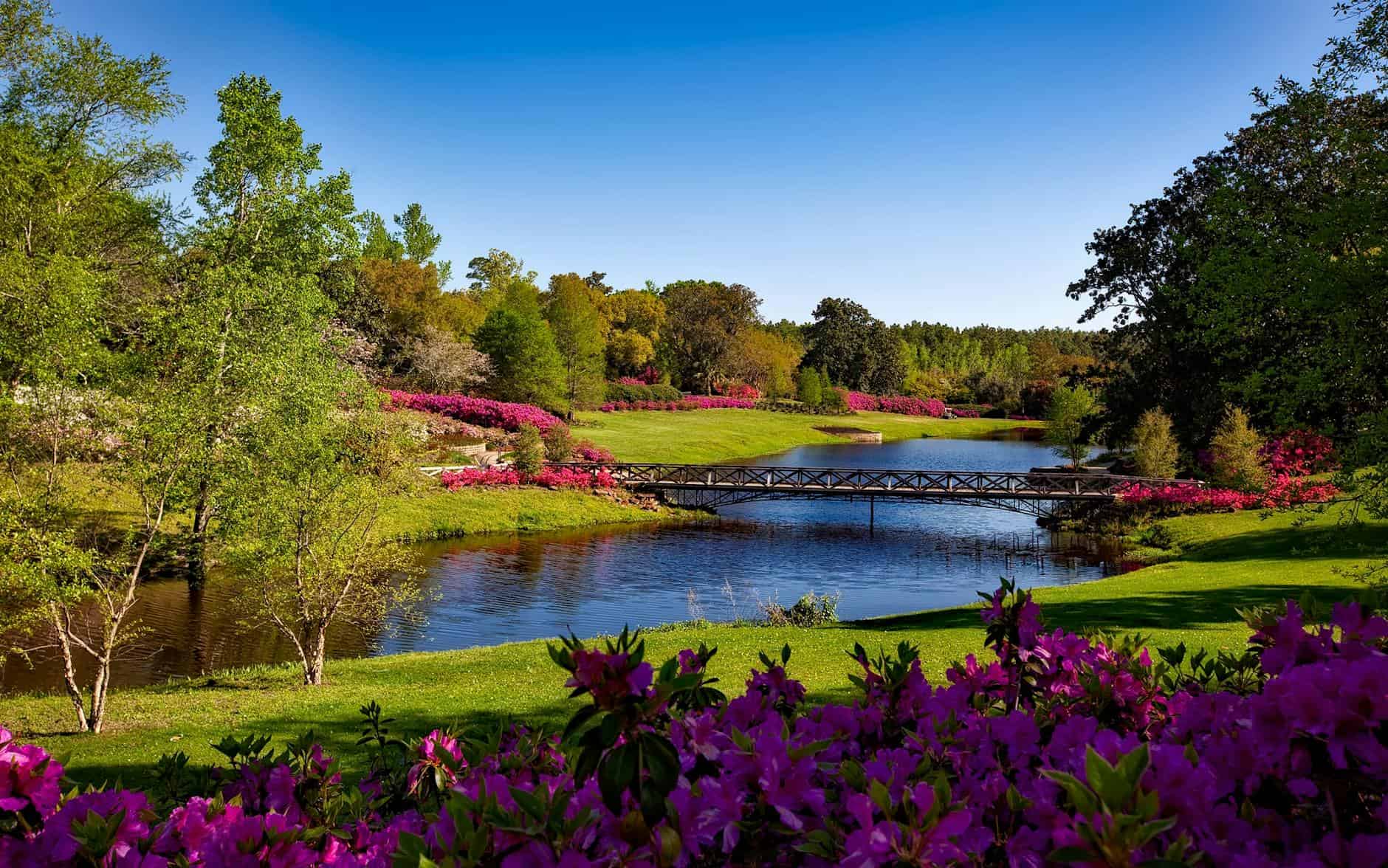 a bridge over a river with flowers and trees
